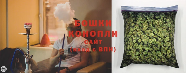ГАЛЛЮЦИНОГЕННЫЕ ГРИБЫ Бугульма