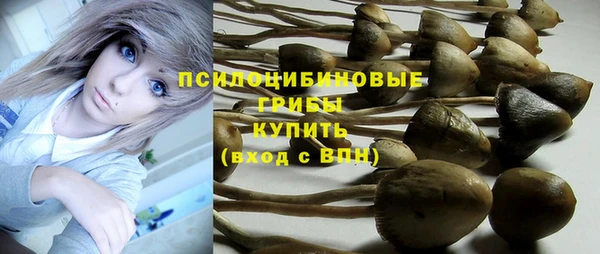 ГАЛЛЮЦИНОГЕННЫЕ ГРИБЫ Бугульма