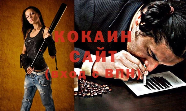 тгк Бронницы