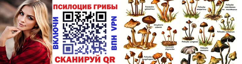 Галлюциногенные грибы Psilocybine cubensis  МЕГА   Орехово-Зуево  продажа наркотиков 